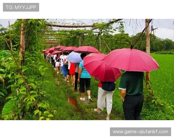 色碟真人版会员注册流程详解，轻松开启高清观影新体验