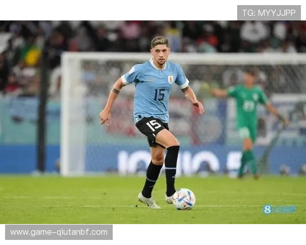 韦德足球官网专业足球数据分析工具使用指南与技巧分享